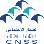 CNSS-LOGO.png